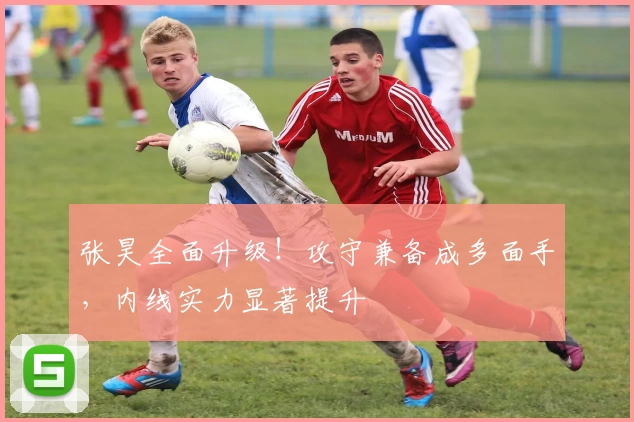 张昊全面升级！攻守兼备成多面手，内线实力显著提升