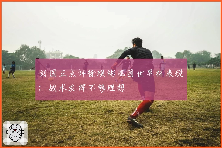 刘国正点评徐瑛彬混团世界杯表现：战术发挥不够理想