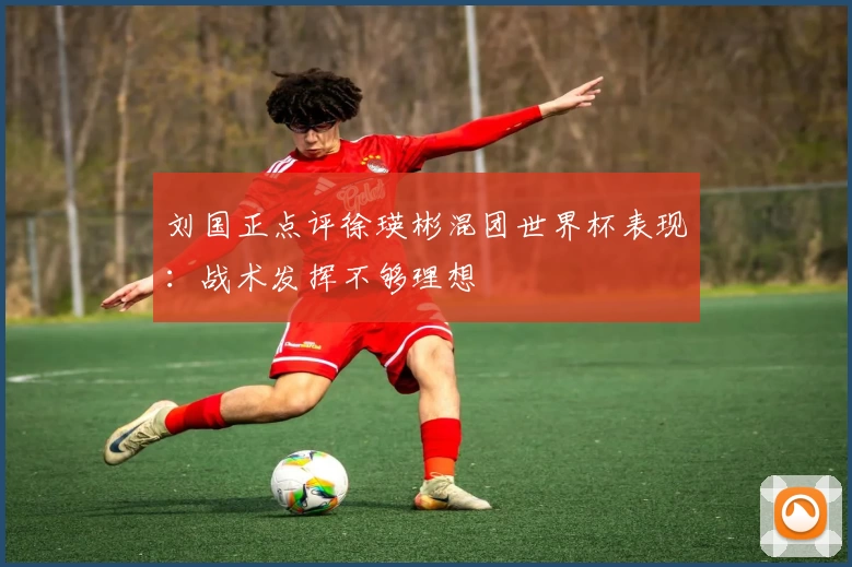 刘国正点评徐瑛彬混团世界杯表现：战术发挥不够理想