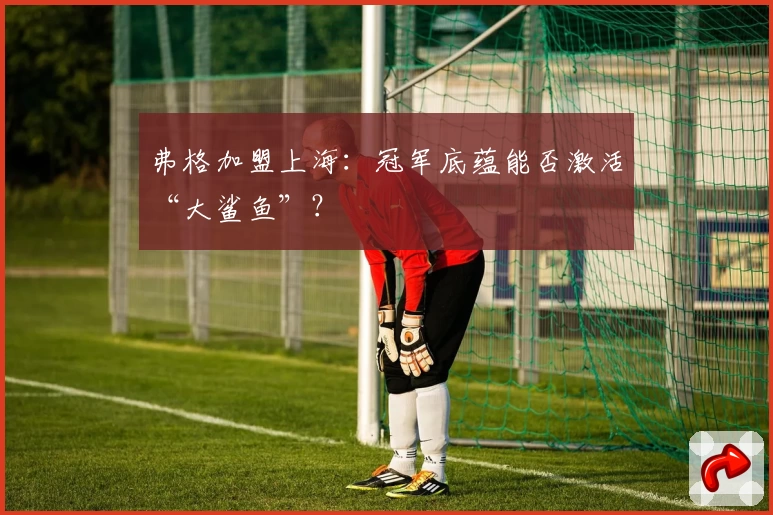 弗格加盟上海：冠军底蕴能否激活“大鲨鱼”？